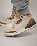 Championes Nike M Air Jordan 3 Retro