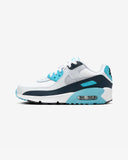 Championes Nike Air Max 90 GS