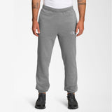 Pantalon The North Face M Half Dome Sweatpant Gris