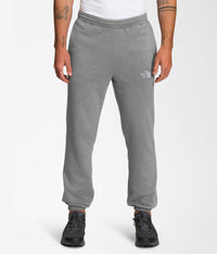 Pantalon The North Face M Half Dome Sweatpant Gris