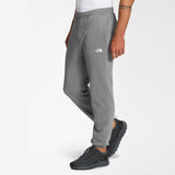 Pantalon The North Face M Half Dome Sweatpant Gris