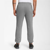 Pantalon The North Face M Half Dome Sweatpant Gris